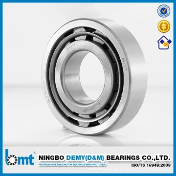 High Quality Cylindrical Roller Bearings Nu